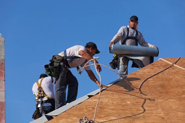 Best Metal Roofing Contractor  in Poteau, OK